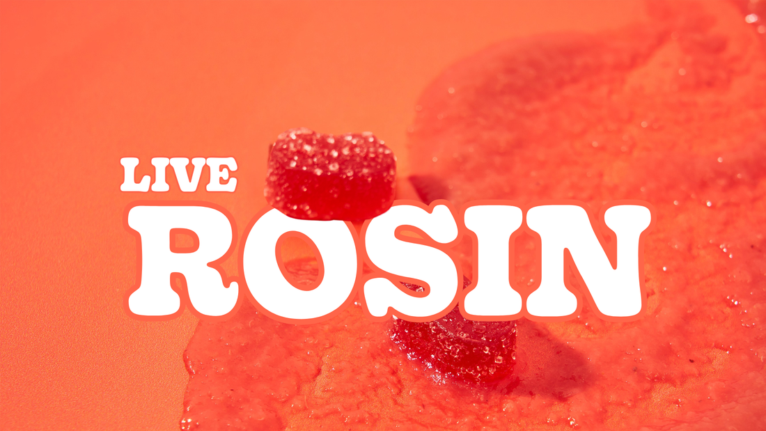 Why Live Rosin Gummies Are Considered the Gold Standard