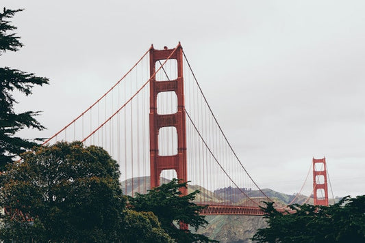 THC and CBD: Which Cannabinoids Are Legal In the United States?